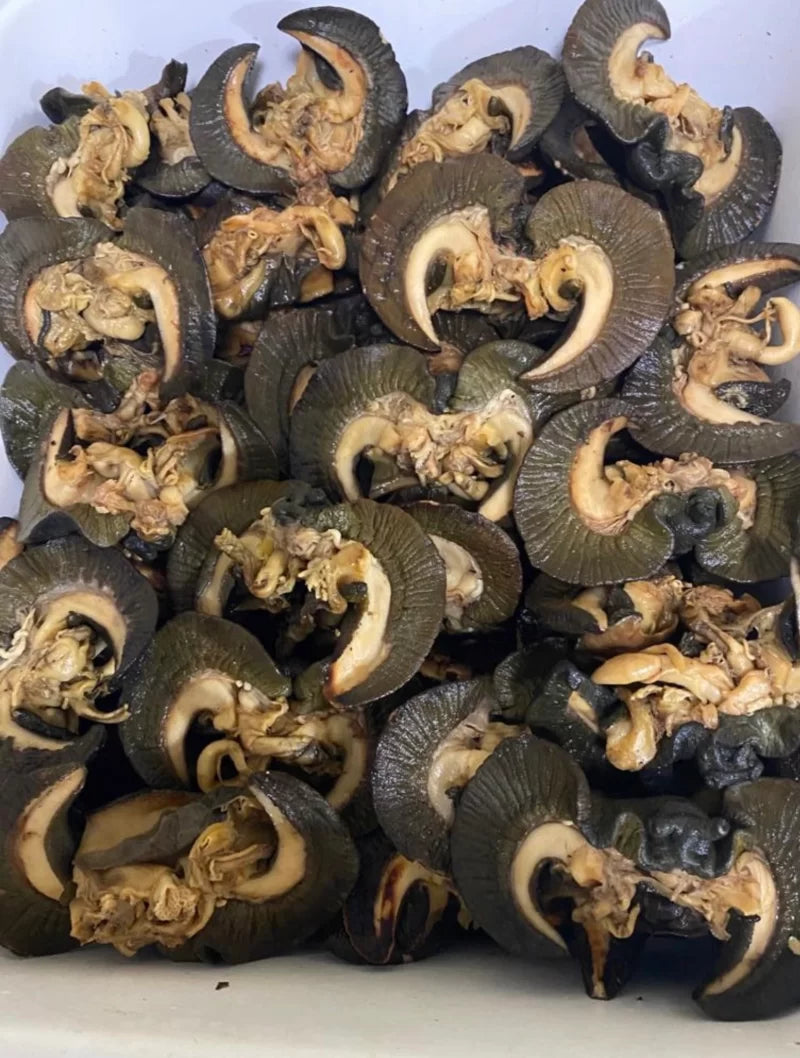 Dried Snail
