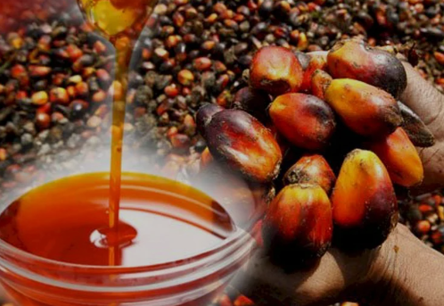 Red Palm Oil